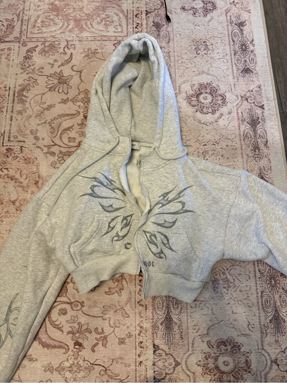 Gray Cropped Zip Hoodie with Graphic Wings